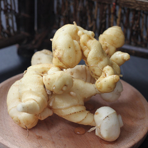 四川南充野生黄精,黄姜中药材煲汤泡酒即食500g包邮