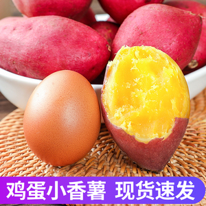 新鲜板栗红薯5斤蛋蛋果临安天目山小香薯鸡蛋圆番薯农家自种地瓜