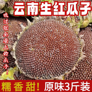 水果红瓜子3斤装云南山地种植高山红皮瓜子糯香甜原味生瓜子包邮