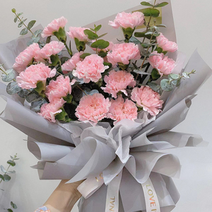 母亲节康乃馨鲜花玫瑰花束送妈妈生日同城北京成都广州长沙店配送