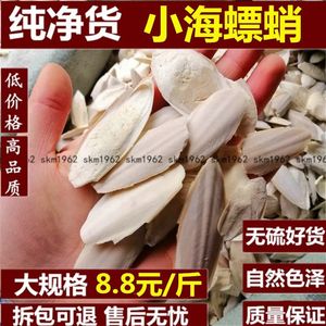 中药材海螵蛸 乌贼骨 小墨鱼骨 鹦鹉宠物补钙 美白牙齿 500克包邮