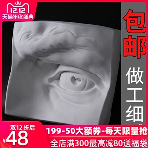 眼睛模型石膏五官石膏像素描静物美术画材艺考教具人物雕塑雕像摆件