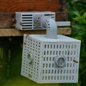 自动分蜂器蜂具多功能收蜂器蜜蜂收王分蜂笼巢门中蜂除雄蜂笼神器