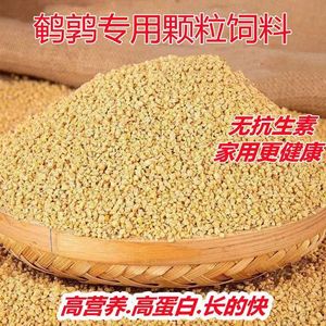 鹌鹑专用纯粮食熟饲料高蛋白产蛋开口专用饲料芦丁鸡开口产蛋料