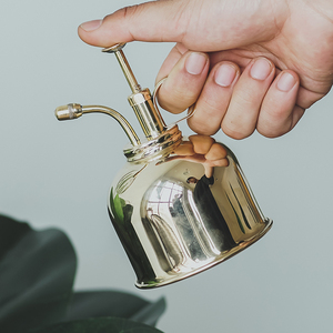 浇花喷壶 家用室内淋花复古黄铜金色小型迷你园艺北欧多肉喷水壶