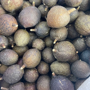 屈头鸡中药材新鲜晒干屈头鸡野生马槟榔正宗老果水鸡仔正品500克