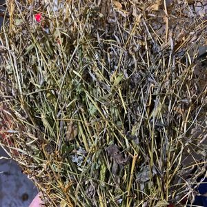 鸡心黄包邮500克干货野生鸡心黄中药材牛心菜鸡心菜 鸡心王鸡心草