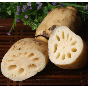 莲藕红花洪泽湖特产新鲜莲藕脆藕煲汤易粉藕现挖当季蔬菜箱果运旺