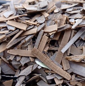 鬼箭羽500克80元鬼见羽卫矛道地无硫新货非野生中药材鬼箭子