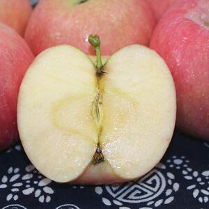 陕西富平苹果10斤