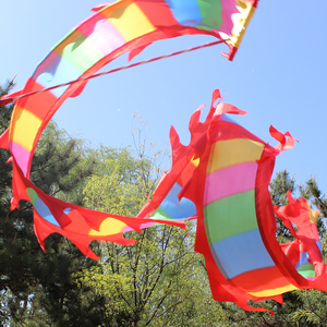 带棒跳舞彩带真丝长飘带成人儿童春英广场舞七彩绸带lzb200710045