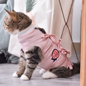 猫咪绝育服母猫公猫手术绝育服狗狗防舔毛宠物衣服薄款猫咪断奶服