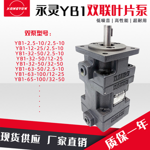 仙居永灵液压双联叶片泵YB1-2.5-10/2.5-10油泵YB1-65-100/32-50/