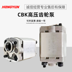 微型cbk齿轮泵小型举升机液压泵总成CBK-1.6/2.1油泵动力单元配件