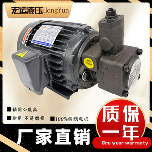 液压油泵电机组VP20+0.75KW1.5液压泵总成内轴电机液压站配件系统