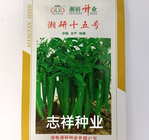 中熟辣椒种子湘研十五号抗病味辣粗长牛角形耐旱能力强1000粒