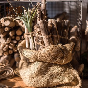 风格摆件客厅麻绳枯枝枯树枝干藤装饰创意木头造景卧室细树枝干枝