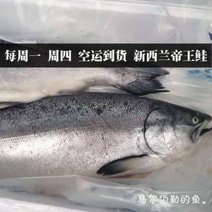 新西兰空运进口帝王鲑新鲜三文鱼整条鲑鱼4-5kg 每周到只发江浙沪
