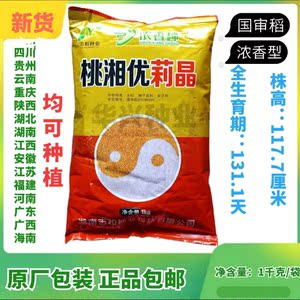 国审稻桃湘优莉晶杂交水稻种子 浓香种一季中稻生育朝131天 1千克