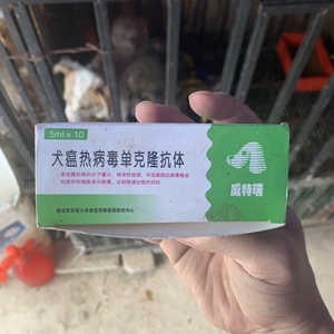 犬瘟热病毒单克隆抗体