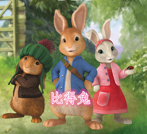 8张国语高清dvd彼得兔比得兔107集动画片光盘光碟碟子