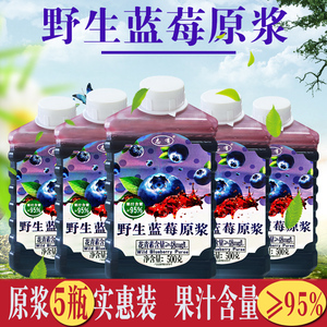 五瓶500g特惠组合野生蓝莓原浆果汁伊春志有高浓度蓝莓味鲜榨饮料