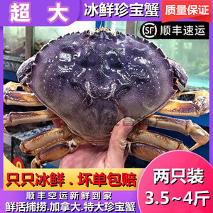 珍宝蟹面包蟹冰鲜帝王蟹超大珍宝蟹2只装4斤太子蟹大螃蟹水产海鲜