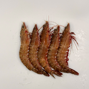 深海捕捞野生活冻超大虎虾红爪虾鬼虾花虾斑节虾九节虾竹节虾多只