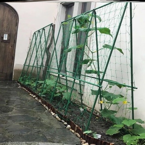 搭架网绳瓜瓜架固定网丝瓜尼龙线百香果架子种丝瓜腾攀爬网爬藤网