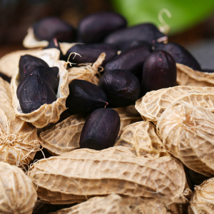 当季花生产地直发西双版纳黑花生新鲜干紫皮花生云南特产1斤500g