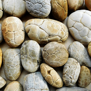 龟纹石天然原石鱼缸景观溪流石摆件泥裂石头长江鹅卵石奇石三峡石