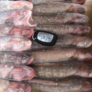冻凤尾鱼冷冻