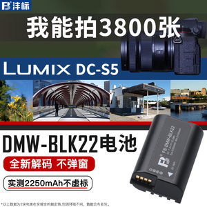 沣标DMW-BLK22电池适用松下DC-S5/G92/S52/S52X/gh5m2/s5mark2单反GH6/S1 II二代数码配件相机微单充电器