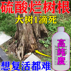 杀树硫酸树竹草烂根剂强力除树剂死树烂根大树烂树根腐蚀专用药