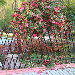 竹篱笆庭院户外院子围墙装饰护栏花园栅栏室外围栏菜园爬藤架竹子