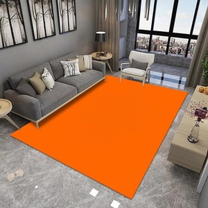 美式轻奢橙色地毯网红直播间装饰地垫客厅卧室服装店拍照地毯定制