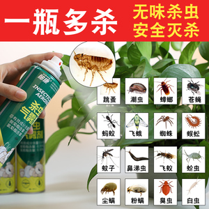 墙壁潮湿虫除虫剂灭潮湿虫神器杀潮虫子的药菊酯类杀虫喷雾剂室内