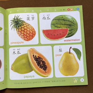 幼儿早教水果蔬菜形状颜色数字学前儿童宝宝识物卡片认物书看图识物