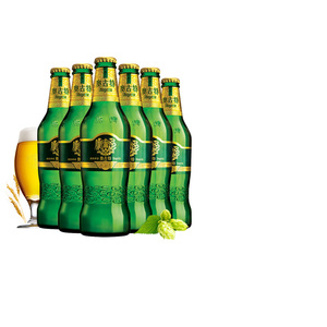 青岛啤酒奥古特系列小瓶330ml*24瓶玻璃装-1