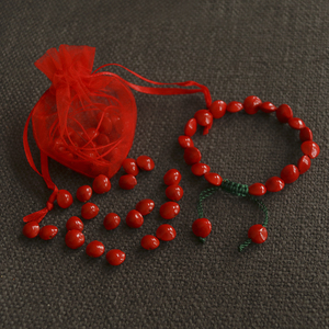 豆姐姐无金属木质手链diy手工编织丹霞山相思红豆手链抖音