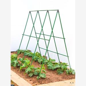 黄瓜爬藤架豆角架杆西红柿架种菜蔬菜搭棚子架植物支撑杆包塑钢管
