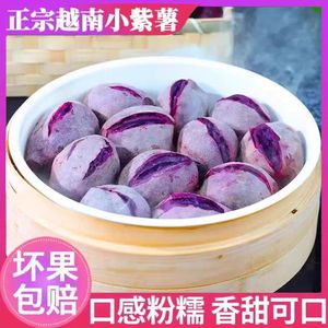 越南紫薯新鲜10斤农家自种沙地紫罗兰小红薯番薯板栗地瓜蜜薯烟薯