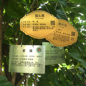 【树牌定制】树牌定制品牌,价格 - 阿里巴巴