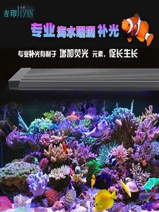 吉印专业海水补光灯拉筋海缸珊瑚缸fot lps sps 蓝色促发色珊瑚灯