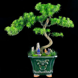 大型罗汉松山石造型盆景客厅办公室风水盆栽四季常绿精品绿植送礼