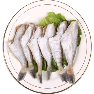 中号耗儿鱼 马面扒皮鱼 野捕剥皮鱼 北部湾南海橡皮鱼4条约200g