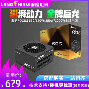 海韵 FOCUS GX650/750W/850W/1000W ATX3.0台式机金牌全模组电源