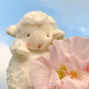 可爱bunnies小羊 公仔毛绒玩具抖音同款小羊驼玩偶娃娃生日礼物女