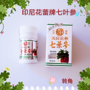 印尼七叶参
