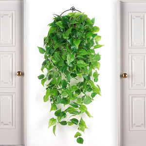 假树叶仿真绿萝叶假花藤条壁挂吊兰藤蔓植物墙面装饰绿叶吊篮室内